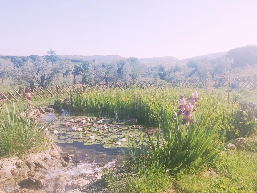 Agriturismo Il Poderino Bibbona Dış mekan fotoğraf