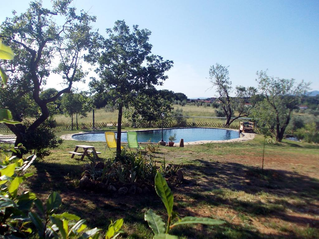Agriturismo Il Poderino Bibbona Dış mekan fotoğraf