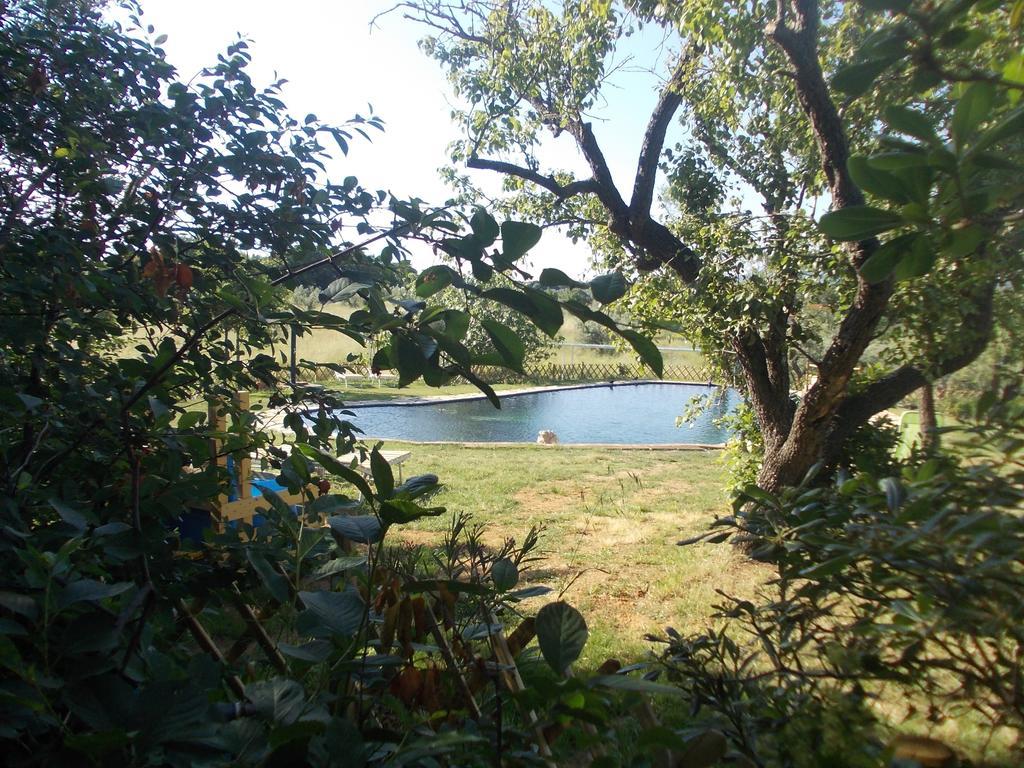 Agriturismo Il Poderino Bibbona Dış mekan fotoğraf