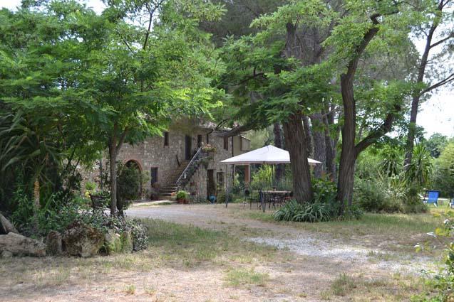 Agriturismo Il Poderino Bibbona Dış mekan fotoğraf