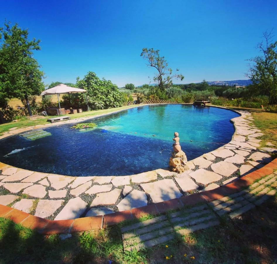 Agriturismo Il Poderino Bibbona Dış mekan fotoğraf
